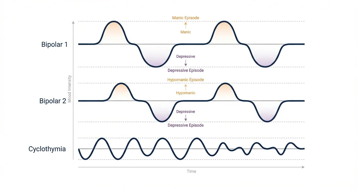 Bipolar 1 vs Bipolar 2 vs Cyclothymia: Key Differences Explained