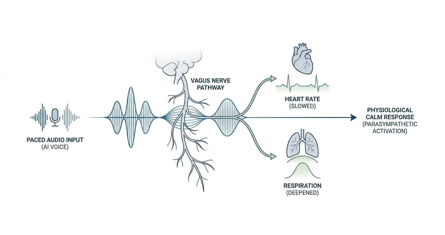 Can an AI voice app actually calm you down?