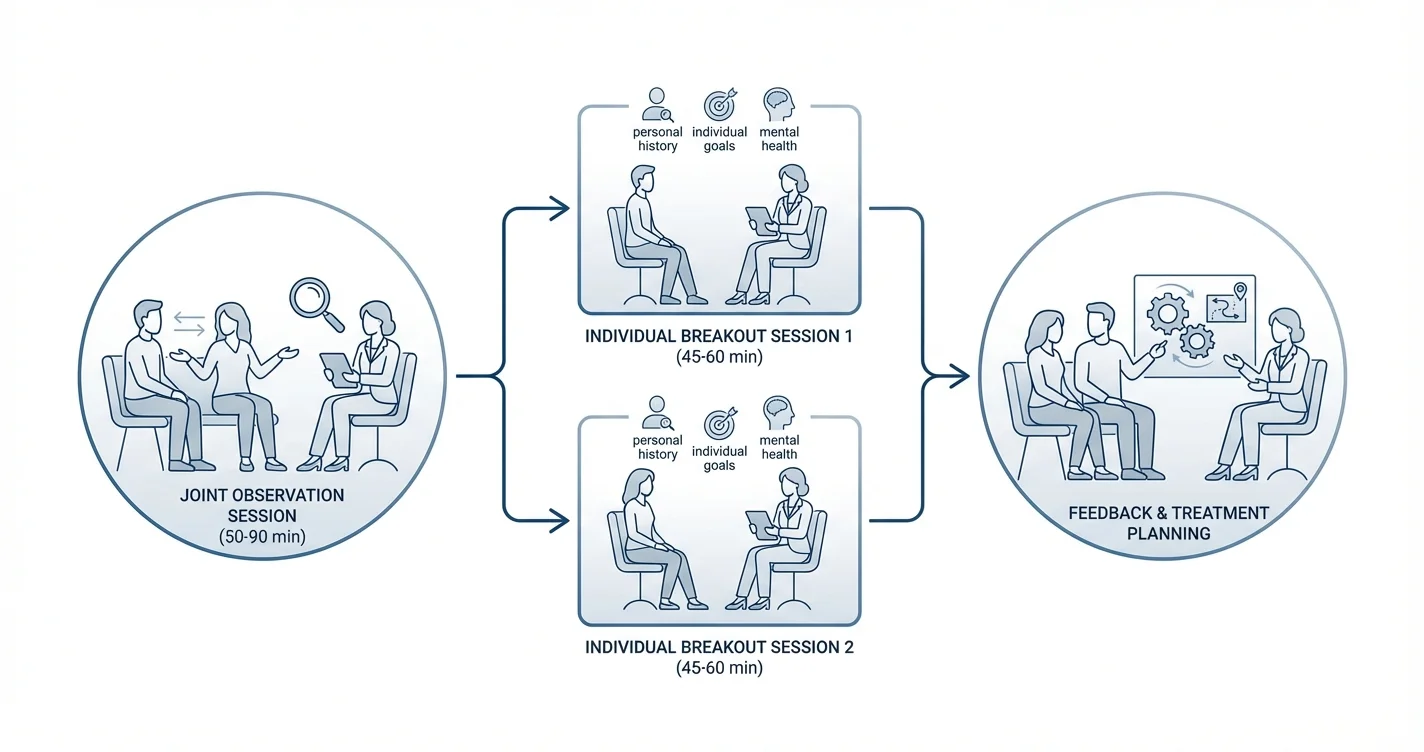 Couples Therapy Intake Process: Observation Session Followed by Individual Breakout Sessions
