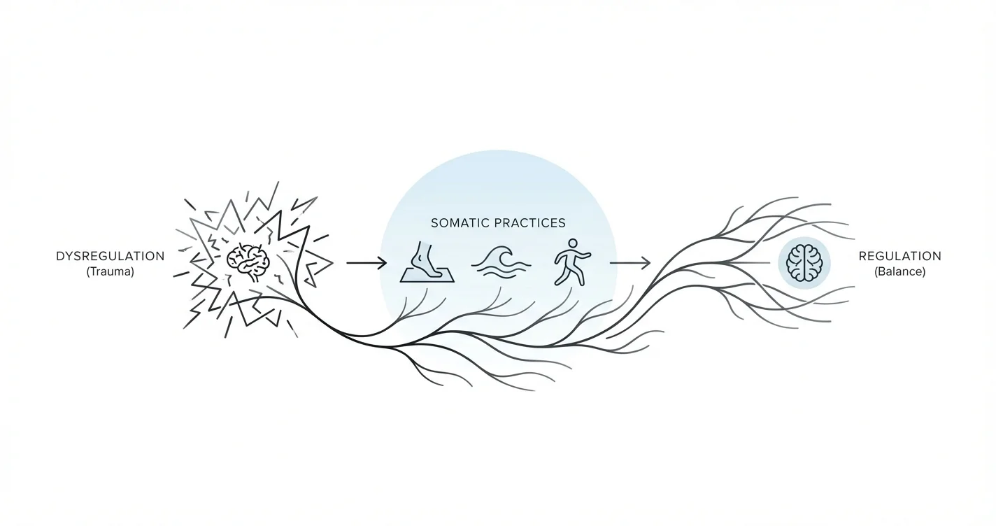 How to Regulate Nervous System Trauma with Somatic Practices