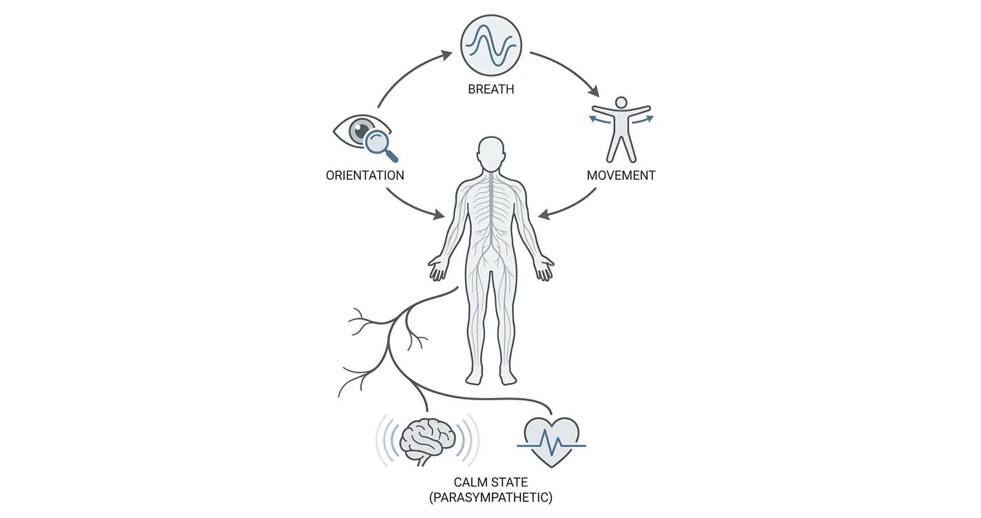 Nervous System Reset: Daily Practices That Work (2026)