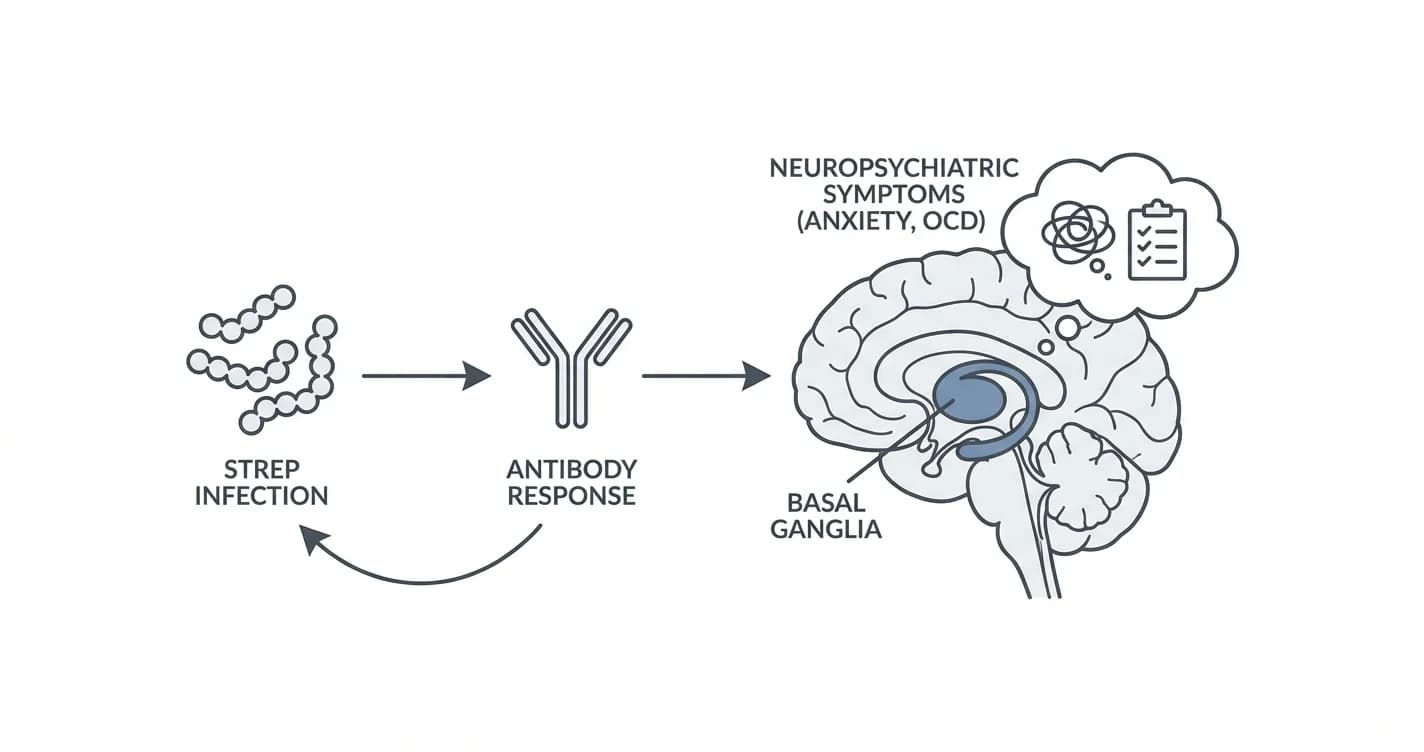 PANDAS: Pediatric Autoimmune Neuropsychiatric Disorder Linked to Streptococcal Infections