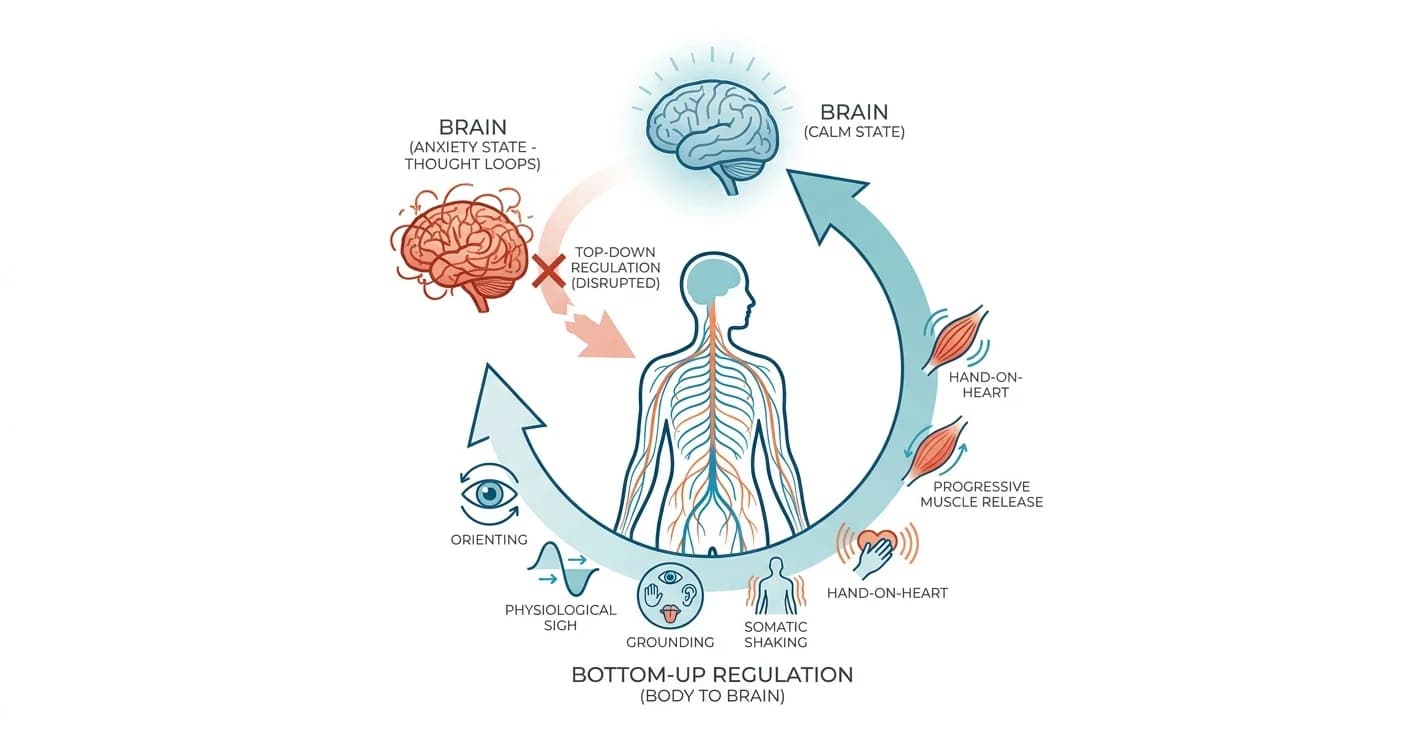 Somatic Exercises for Anxiety: Beginner's Guide 2026