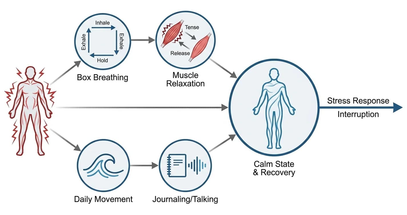 Stress Management Techniques for Adults: What Works in 2026